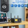 مكبرات الصوت AIYIMA HIFI T5 Bluetooth Audio Amblefier QCC3034 NE5532 APPLIFIER APTXHD لـ PHONO TURTABLE PERAMP 160WX2