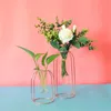 Vases Flowerpot Widely Used Art Transparent Handicraft Vase Hydroponic Plant Decorative Modern Aquarium