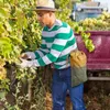 Borsa di stoccaggio tela Cera per foraggio per foraggio Fungo Funghebile cuscino cinguetta per cinghia di caccia per la cintura per campeggio esterno per campeggio all'aperto