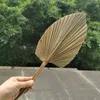 Fleurs décoratives 6pcs / 15 35cm 20cm 40cm fleur séchée Palme naturel Diy Real Fan For Art Wall Hanging Wedding Party Home Noël