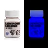 B95D Glow in the Dark Paint Multi-surface Paint fluorescent acrylique pour UV uv intérieur UV et Blacklight Activé