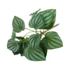 Fleurs décoratives plantes artificielles feuilles de fête paysagère verte décorations de décors de décors
