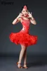 Stage Wear Latin Dance Skirt Girls 'Competition Performance Tulle Tutu