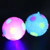 LED -Ballspielzeug Kinder LED LED HUNCH HABE BALL BLINKING Fußball glühend fußball quietschende Sound Toy Garden Beach Game Kinderspielzeug Kinderspielzeug