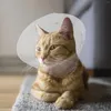 Ropa de perro Elizabeth Circle Collar para mascota Hound Heal Puppy Cat Recovery Cone Mascas El cuello de gatito