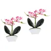 Decorative Flowers 2 Pcs Fake Plants Simulation Phalaenopsis Small Bonsai Artificial Adornments White Flower Potted