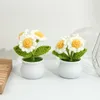 Fiori decorativi 1pc Little White Daisy Wool Simulazione Flower Pot Decoration