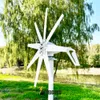 Générateur d'énergie éolienne de 3kw en usine pour la maison 3000W 12V 24V 48V Power Power Turbine Moulin à vent horizontal avec contrôleur MPPT