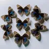 Decoratieve beeldjes Junonia orithya echte vlinderspecimen cadeau huisdecoratie fotolijst schilderij sculptuur beelden voor