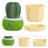 Dish lavage Scurpers Boule de nettoyage éponge détachable avec poignée et pot de cuisine époustouflants pour éprouvoir pour assiettes cactus