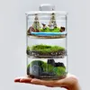 Micro paysage Plantes de mousse bouteille en verre avec couvercle Green Moss Potting Glass Terrarium Creative Bonsai Plants Decor intérieure