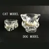 Model zęby zęby weterynaryjne zęby zęby dentystycznej żywicy zwierząt pies pies