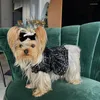 Colarinho de cachorro estilo de estimação de animais de estimação para cães pequenos chihuahua schnauzer teddy pomeranian bichon yorkie pug gyl03