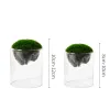 Glaszylindervase für Hochzeitsmittelstücke und Wohnkultur, geeignet für Blumen, schwimmende Kerzen, Sukkulenten