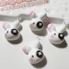 10pcs Halloween Rabbit Pill Skull Bow Os Resin Charmes pour bijoux Making Wore Brognon Collier Bracelet Pendants Pendants