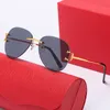 Fashion men leopard Sunglasses for women Rimless glasses Classic Metal Texture Design Gold Tea Grey Sheets Customizable Prescription elegant eyeglasses box