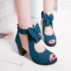 Dress Shoes High Heels Sandals Peep Toe Ankle Strap Platform Female Wedding Party Elegant Women Summer With Bowknot