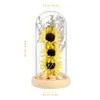 Decorative Flowers Astetic Room Decor Dried Sunflower Party Decoration Decorate Light Glass Dome Indoor Lamp Woman