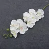 Decorative Flowers 9-Heads Silk Flower Simulation Butterfly Orchid Real Touch Plants Artificial 3D Phalaenopsis