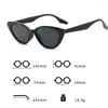 Sunglasses 2024 Ladies Luxury Cat Eye Small Frame Vintage Sun Glasses Fashion Trendy Riding Fishing Shades For Women Men