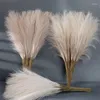 Decorative Flowers 55cm 5pcs Fluffy Pampas Reeds Boho Fake Plants Mock Up Wedding Party Home Decor Artificial