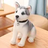 Simulazione da 2530 cm Dog Husky Peluga giocattolo peluche lupo morbido animale di peluche carino peluche kawaii bambola bambola soffice regalo di compleanno bambino ragazzo 240411