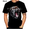 Mäns 3D Fire Tiger Printing Short Sleeve T-shirt Summer Hot Style Loose and Bekväm stora mäns 2023