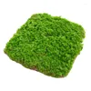 Decorative Flowers Artificial Green Plants Moss DIY Crafts Grass Garden Home Room Decor Mini Landscape Fake Plant For Potted Ornaments