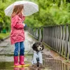 Capas de chuva com capuz de vestuário com capuz de cachorro Capital de estimação à prova d'água para dias chuvosos de tecidos de classe dura Roupas de chuva pequenas a médias cães e cães e