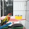 Andere Vogelvorräte Fütterung des Schalters Parrot Food Bowl Käfig Wasserversorger für Lovebird Blocke