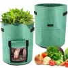 3pcs Felas plantas de cultivo Bolsas de cultivo de tecido não tecido Garden Potato Pote de estufa Sacos de cultivo Sacos hidratantes Ferramentas verticais