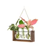 Vases Haing Wall Plant Transparent Vase Frame en bois Decoratio Verre Table Bowl Fleur de fleur de bureau