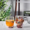 Vinglasglas av glas te kaffemuggar med skal dubbla muromgärdade koppar för latte eller kalla drycker