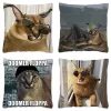 Śliczne floppa meme poduszka 45x45 Dekord domu Dakimakura Funny Caracal Cat Rzut Pillow Cover do salonu Housse de Coussin