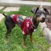 Vestiti per cani estivi cool spiaggia camicia da gatto in stile hawaiano a manica corta cocco che stampa regalo di moda per animali domestici 240328