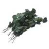 Decorative Flowers Preserving Dried Eucalyptus Stems Faux Greenery Artificial Branches Preserved Flower Centerpieces