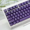 Tillbehör Cherry Profile 120 Keys Dark Purple Double Shot Dye Subbed DIY KeyCaps för Mechanical Keyboard Gaming KeyCaps MX Switch