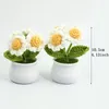 Fiori decorativi 1pc Little White Daisy Wool Simulazione Flower Pot Decoration