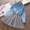 Roupas Define o vestido infantil 2024 Primavera e Autumn Girl's Princess Skirt Denim Top Galze Slave Sleeve Suit