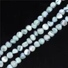 Hellblaue Perleschalen -Chips Perlen Kiesform Mutter von Perlenschale Lose Perlen zum Herstellen von Schmuck -DIY -Armbandkette
