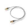 DDHIFI TC07S NYX -Serie Silber Typec HiFi Audiophile USB -OTG -Kabel mit versilbertem LCOFC -Schild (10 cm/ 50 cm)