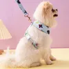 Collari per cani Luxury Back Back Pet Leash Set di marca alla moda Cinta regolabile per piccole dimensioni di medie dimensioni