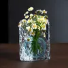 Vasi di vetro giapponese Crystal pianta semplice per pianta per fiori composizione floreale desktop idroponica bellissima vaso pratico pianta