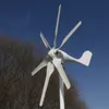 Free Energy China Factory 6 Blades Wind Mounils Wind Turbine Generator 4000W 12V 24V 48V avec contrôleur de charge MPPT pour usage domestique