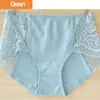 5pcs/lot Womens underwear Lace Lingeries Panties For Women Lady Briefs Various Color Avaiable Accept Mix color Zmtgb2914