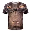 Summer New Handsome Animal Giraffe Cute Dog Trend 3d Digital Print Casual Men'S T-Shirt Personality Creative Short Sleeve Shirt