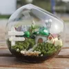 Vasen transparent klare Glaskugel Vase Borosilicat Oblique Plant Terrarium 8/10/12/16 cm