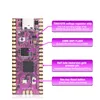 Voor Raspberry Picoboot PI PICO Board IPL Vervangingsmodchip en SD2SP2 -adapter GC2SD -kaartlezer voor GameCube Game Console