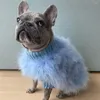 Ropa para perros damas y americanas cabello pavo de pavo otoño invernal suéter de mascota