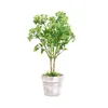 Decorative Flowers Bonsai Simulation Plants Artificial Plant Fake Home-Decoration Wedding Office Staff